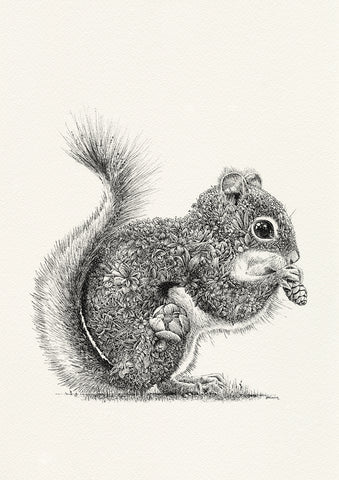 Red Squirrel - Giclée Print
