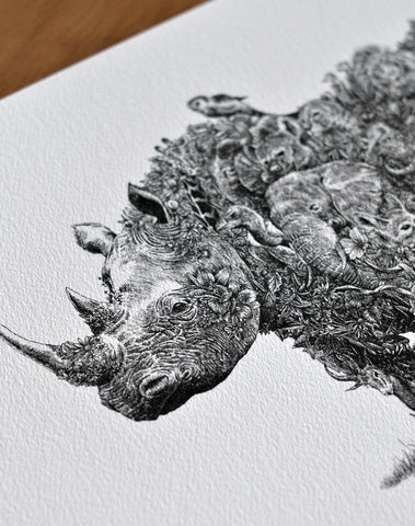 Black Rhino / Africa - Giclée Print
