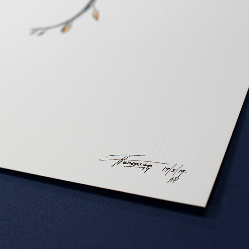 Weedy Seadragon - Artist Proof