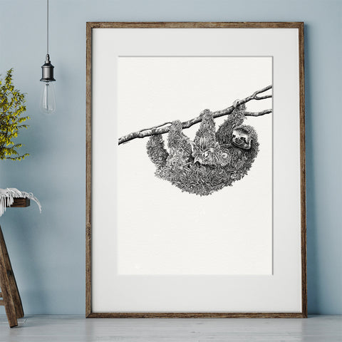 Brown-Throated Sloth - Giclée Print