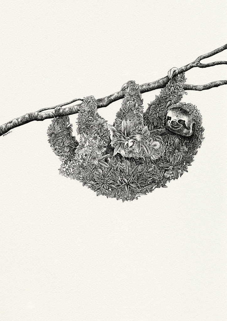 Brown-Throated Sloth - Giclée Print