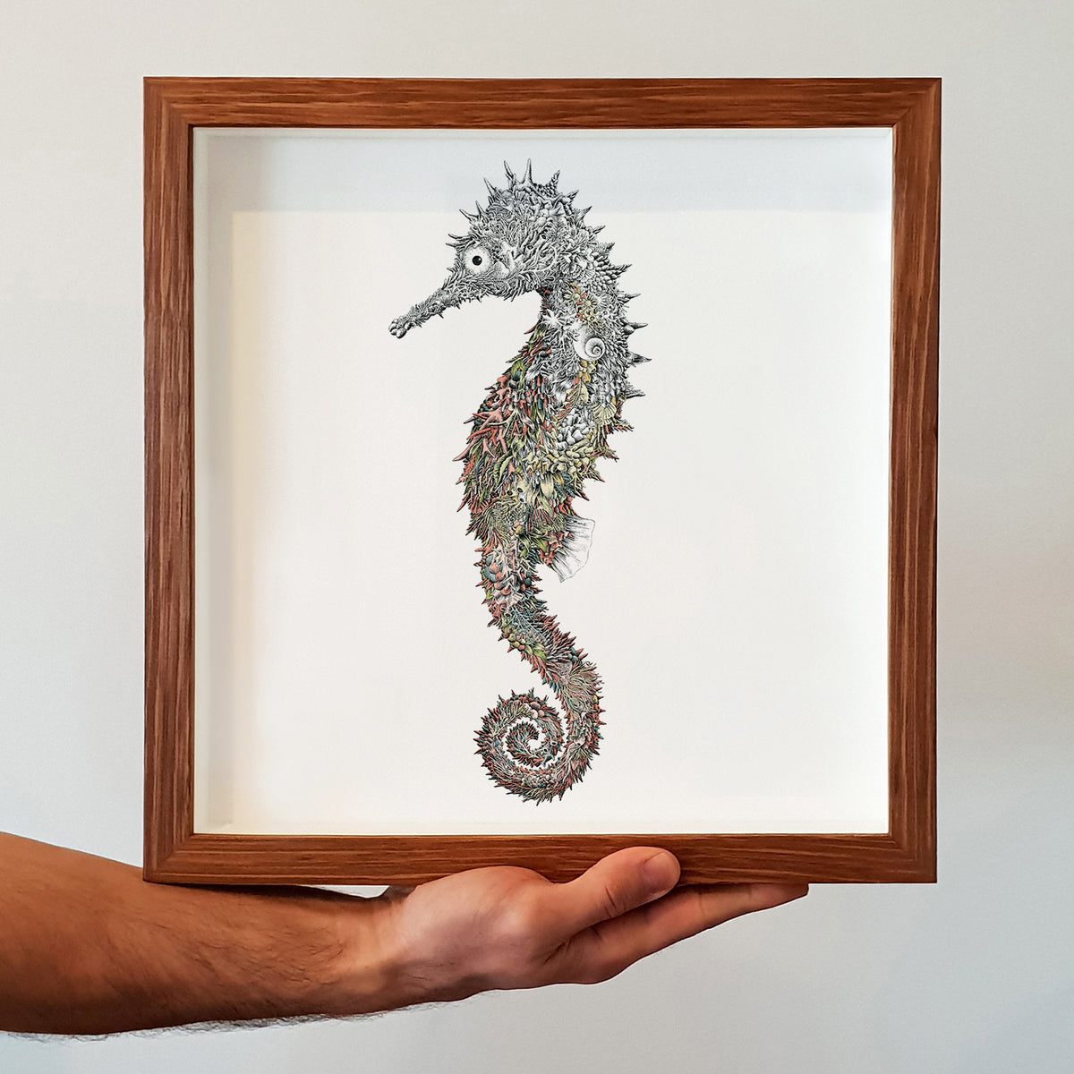 Spiny Seahorse - Giclée Print