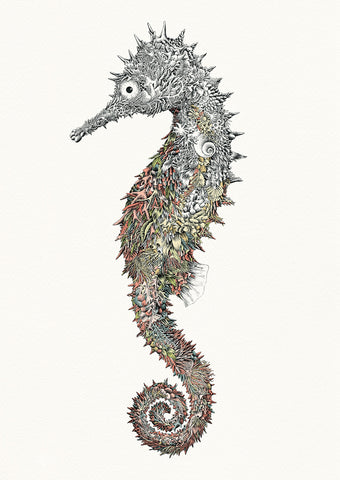 Spiny Seahorse - Giclée Print