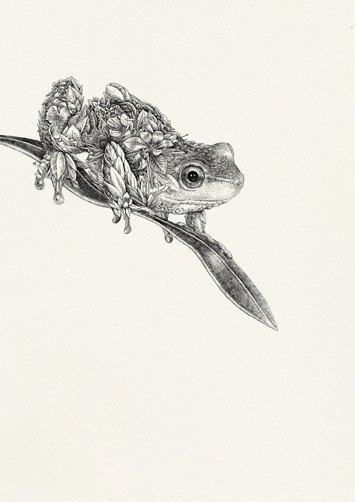 Spotted Tree Frog - Giclée Print