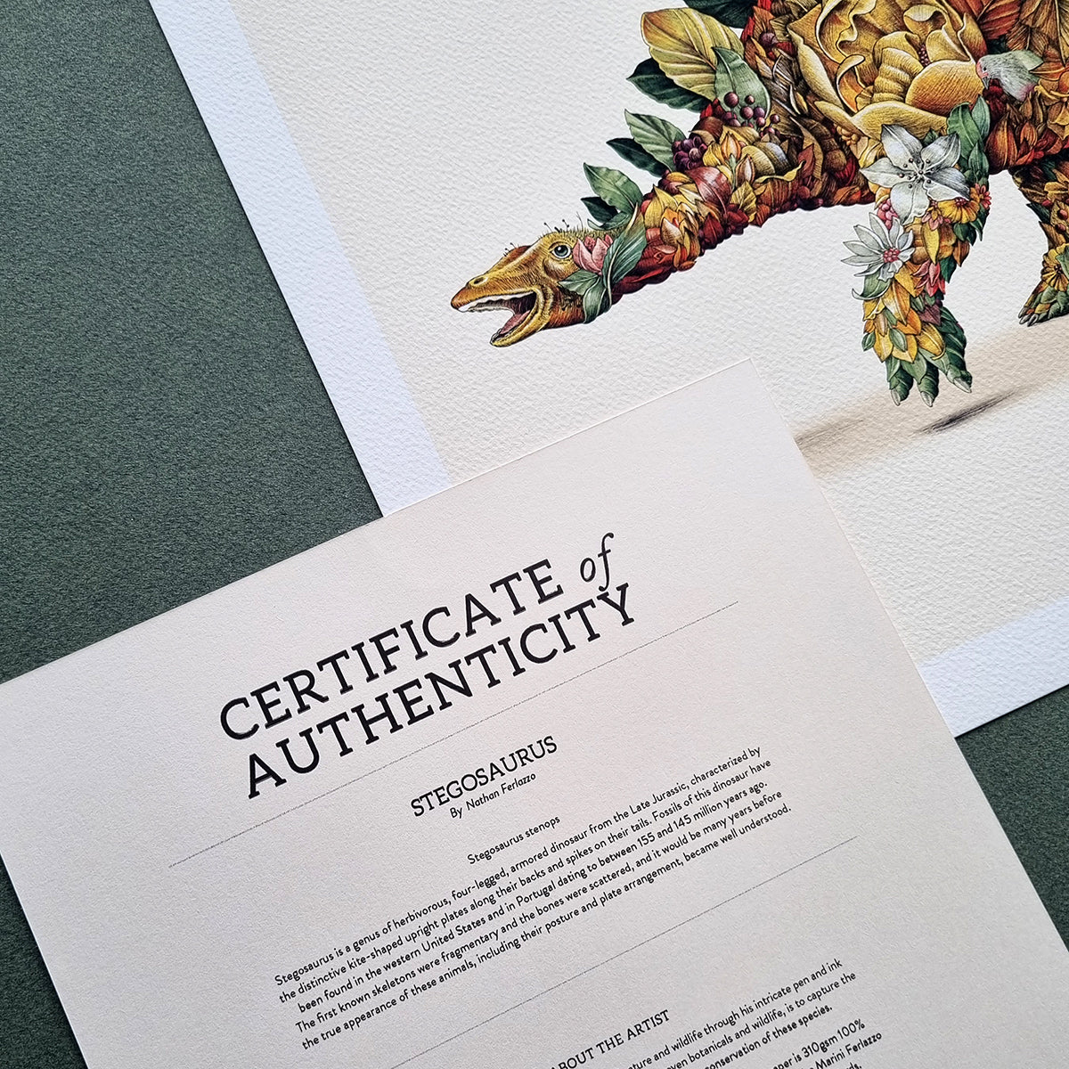 Stegosaurus - Print