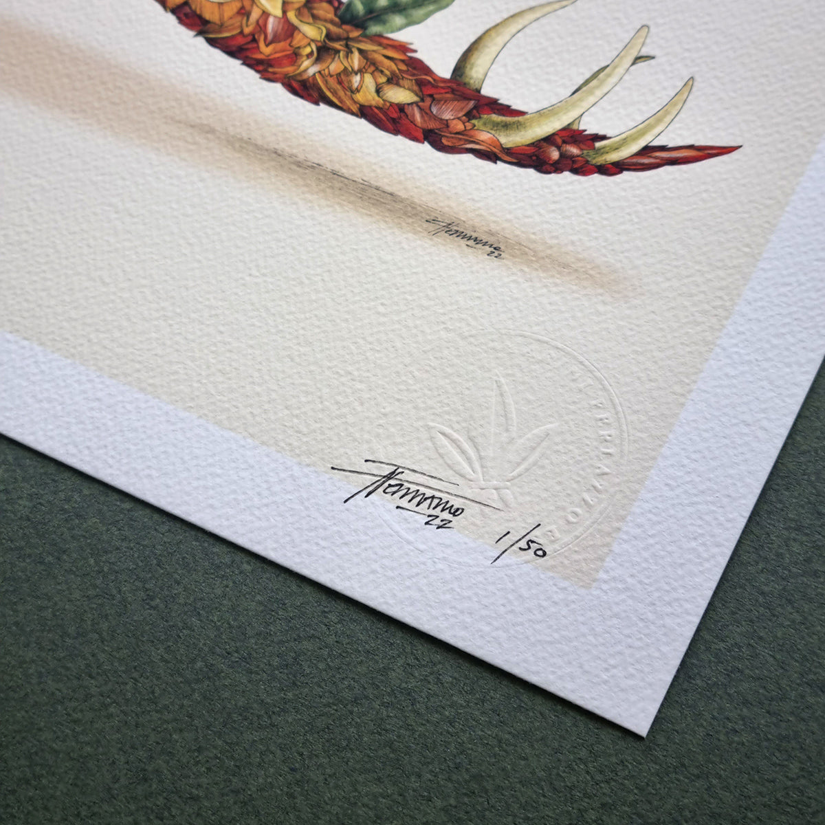 Stegosaurus - Print