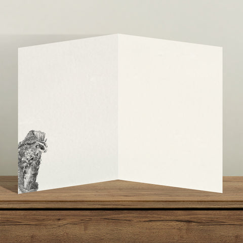 Sugar Glider - Greeting Cards