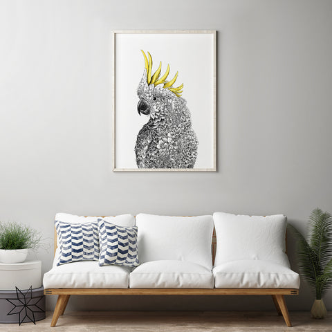 Sulphur-crested Cockatoo - Giclée Print