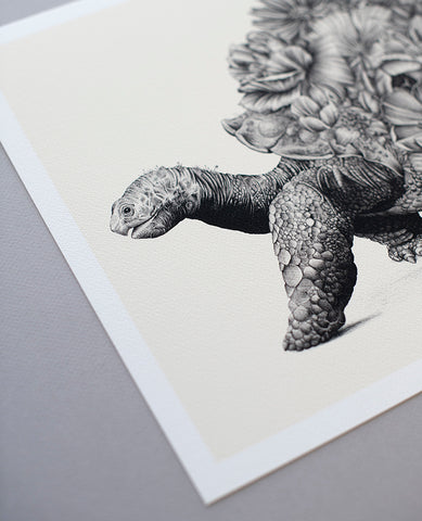 Galapagos Tortoise - Giclée Print (Black & White)