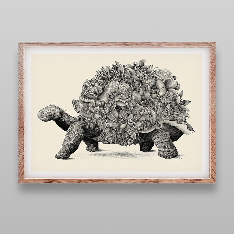 Galapagos Tortoise - Giclée Print (Black & White)
