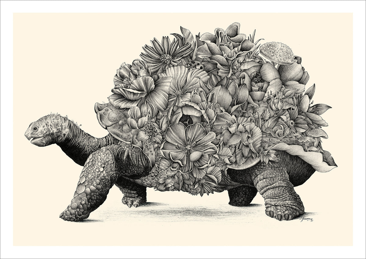 Galapagos Tortoise - Giclée Print (Black & White)