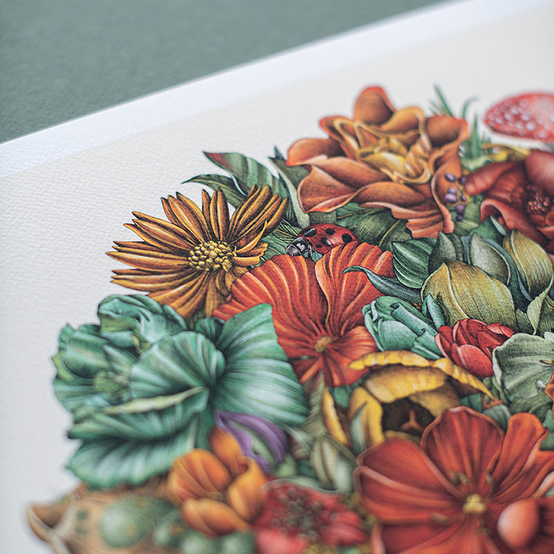 Galapagos Tortoise - Giclée Print (Coloured)