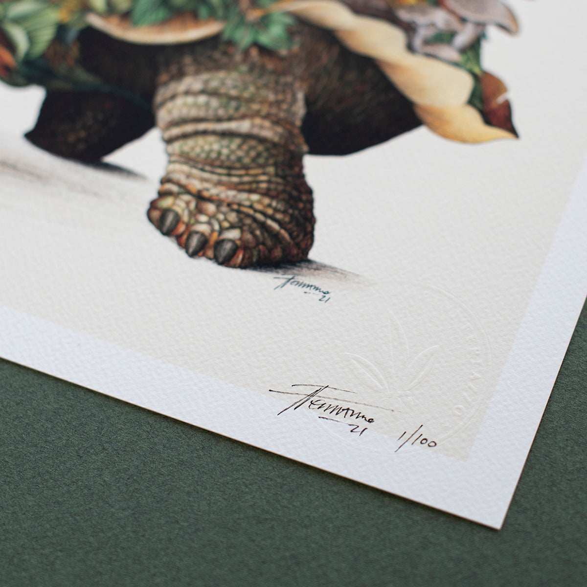 Galapagos Tortoise - Giclée Print (Coloured)