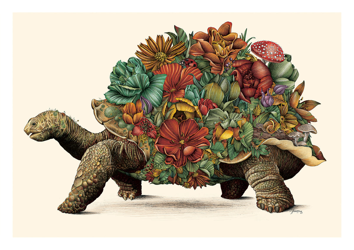 Galapagos Tortoise - Giclée Print (Coloured)