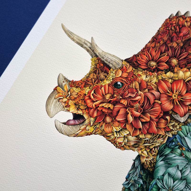 Triceratops - Print