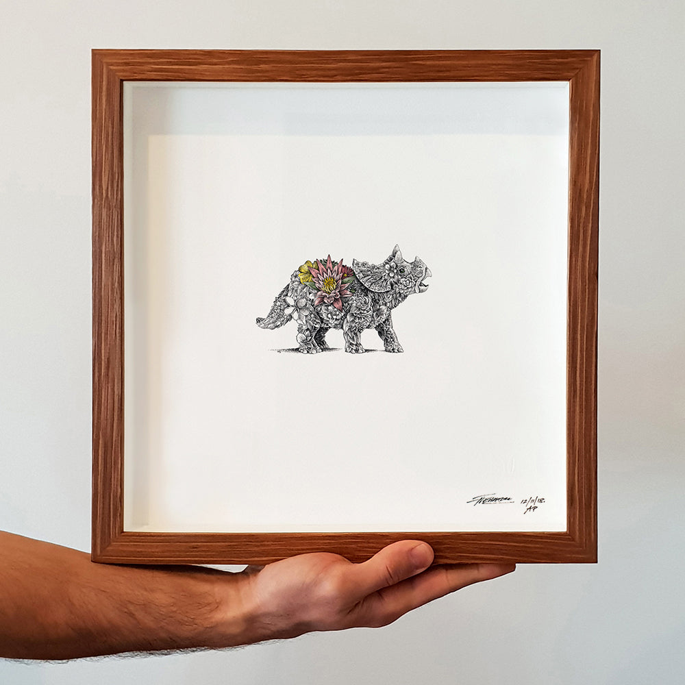 Baby Triceratops - Artist Proof
