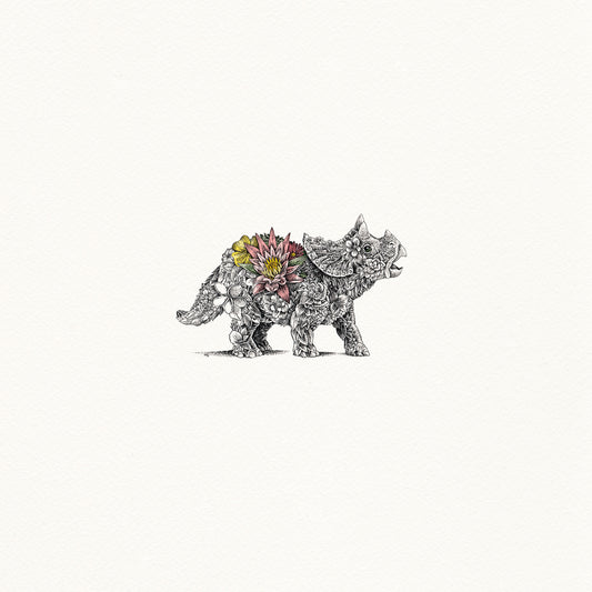 Baby Triceratops - Artist Proof