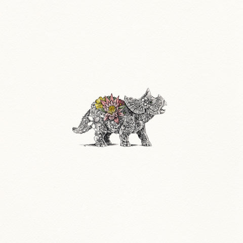 Baby Triceratops - Artist Proof