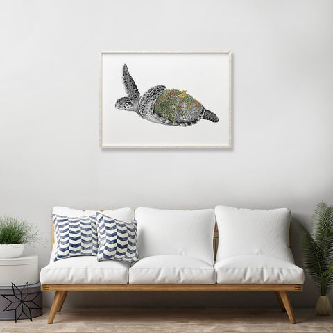 Hawksbill Sea Turtle - Giclée Print