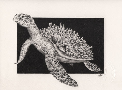 Sea Turtle - ORIGINAL