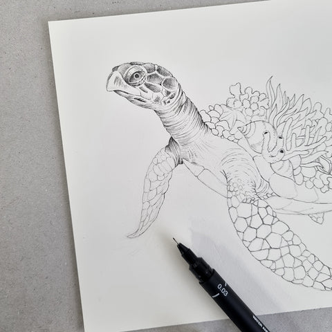 Sea Turtle - ORIGINAL
