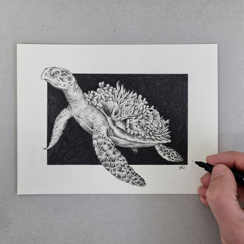 Sea Turtle - ORIGINAL