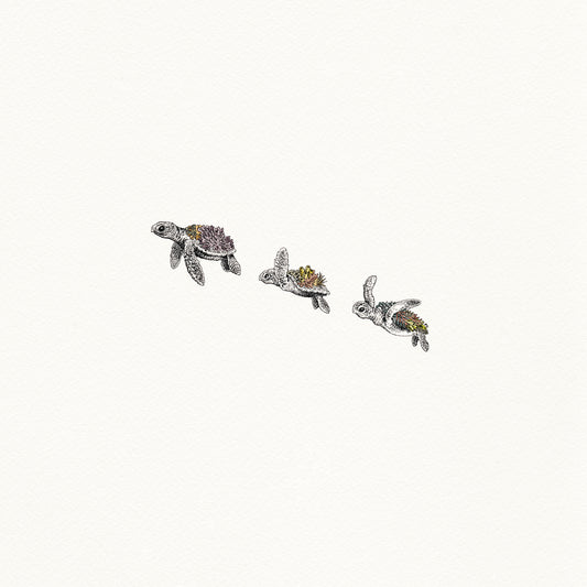 Turtle Hatchlings - Artist Proof