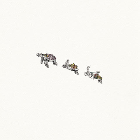 Turtle Hatchlings - Artist Proof
