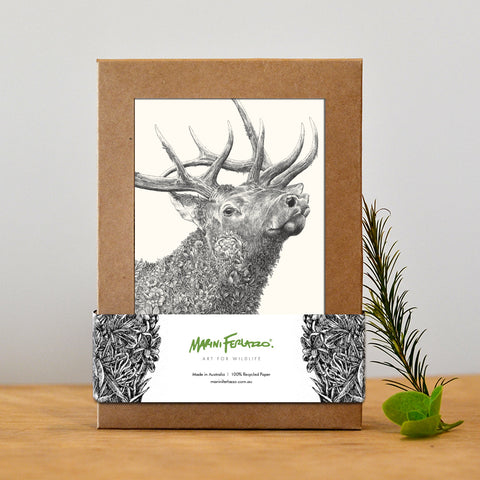 North American Wildlife - Greeting Card Set
