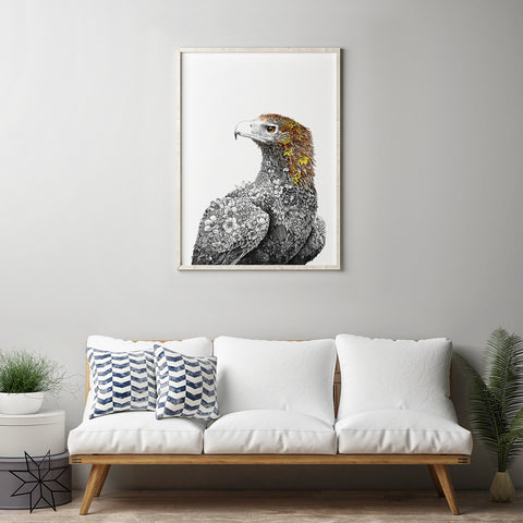 Wedge-tailed Eagle - Giclée Print