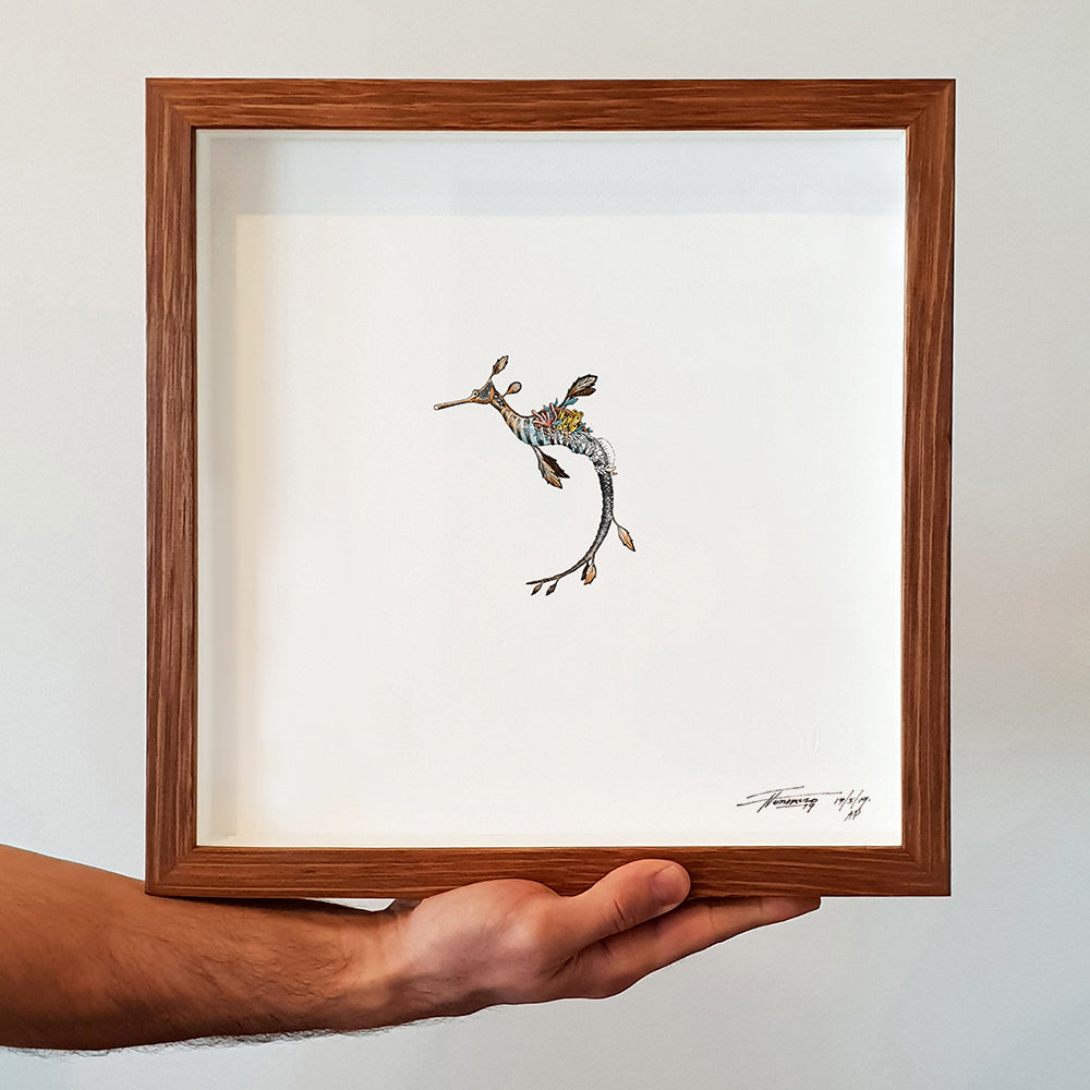Weedy Seadragon - Artist Proof