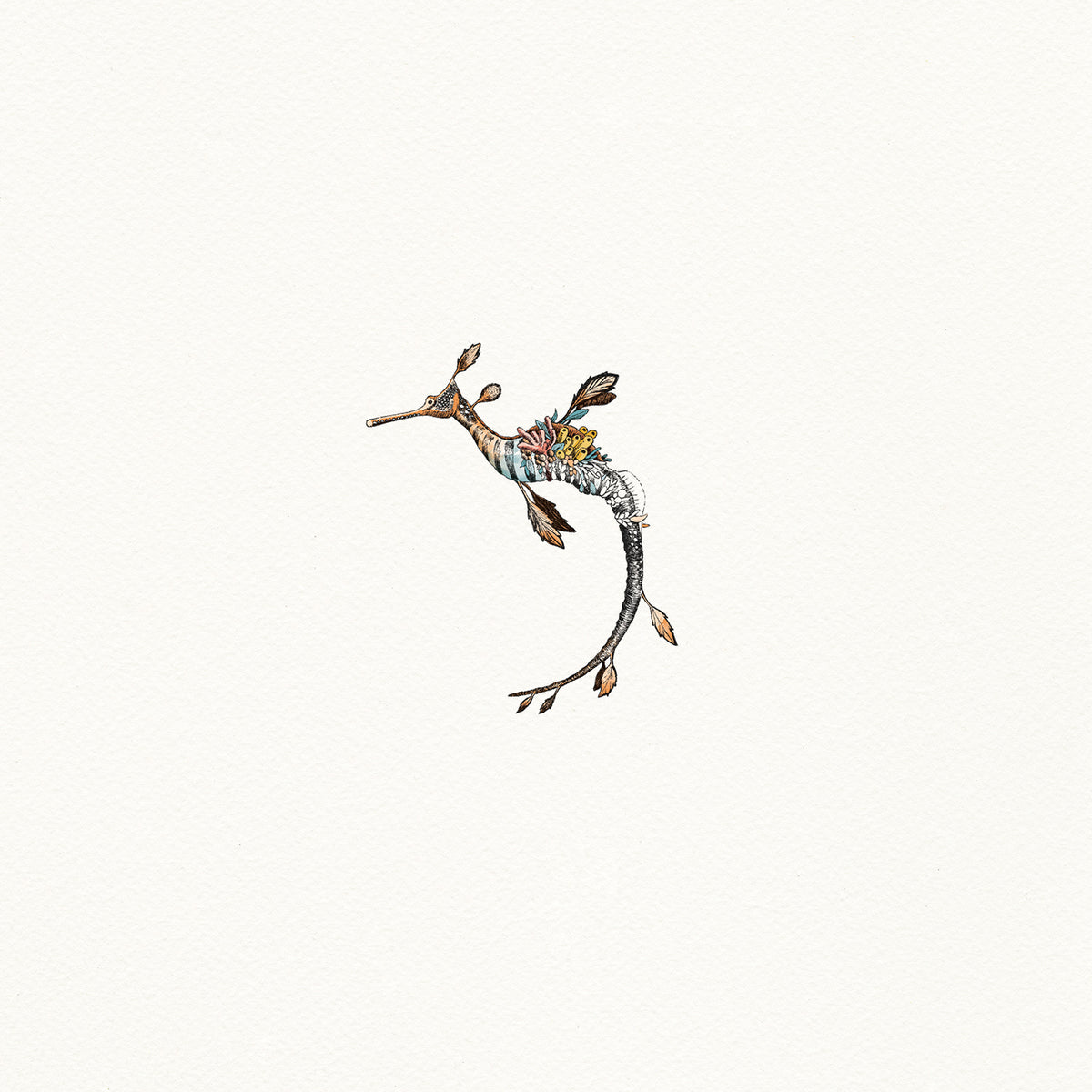 Weedy Seadragon - Artist Proof
