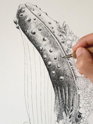 Humpback Whale - Giclée Print