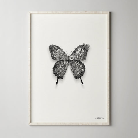 Ulysses Butterfly - Giclée Print