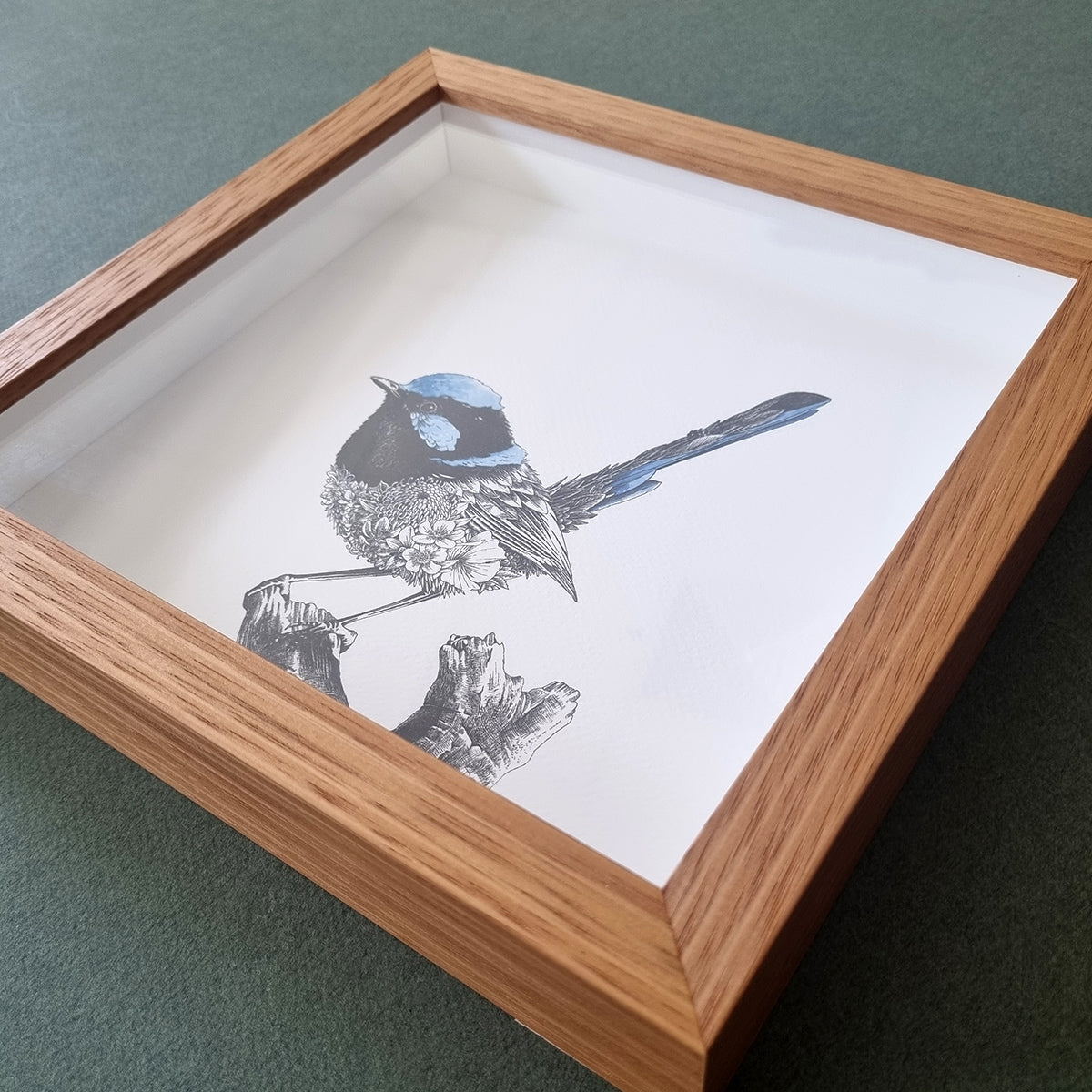 Superb Fairy-wren – Framed Print